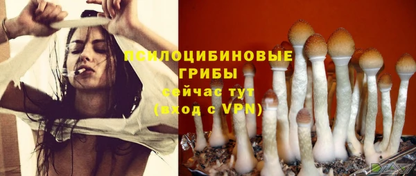 соль курить ск Иннополис
