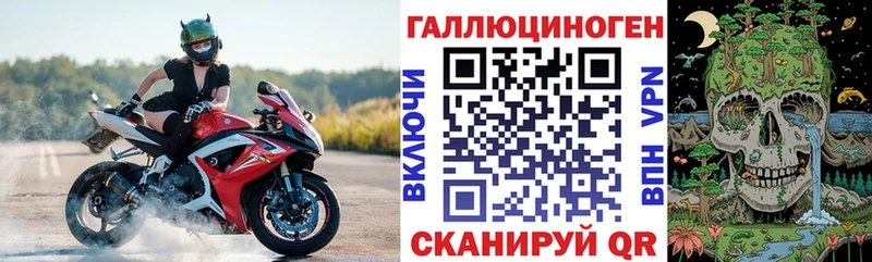 закладки  Назарово  Псилоцибиновые грибы Psilocybe 